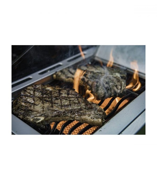 nexgrill-5b-deluxe